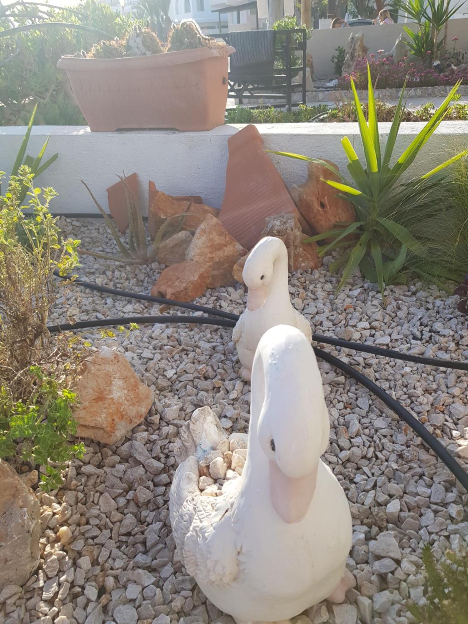 Haraki Mare Studios Beach Front Екстериор снимка